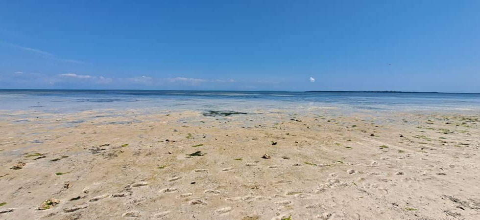 Land for Sale in Kizimkazi 69,500 sqm - pristine beach (2)