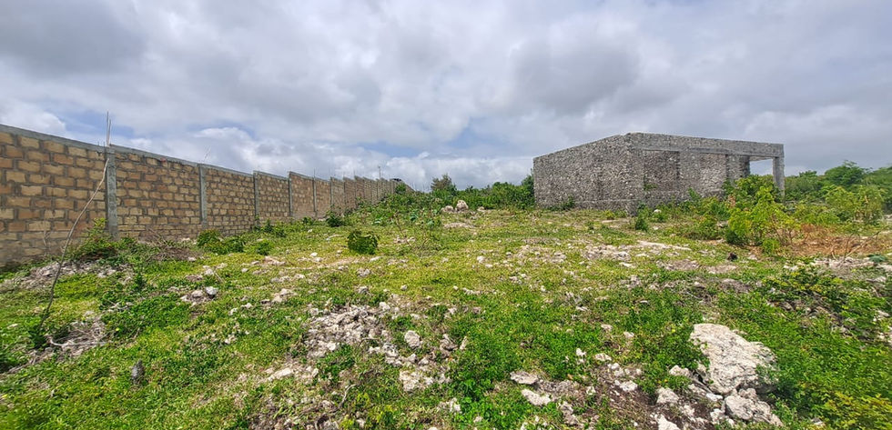 Land for Sale in Zanzibar_Makunduchi_8000 sqm_beachfront plot