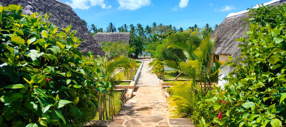 Coumpound in Uroa for Sale- gardens