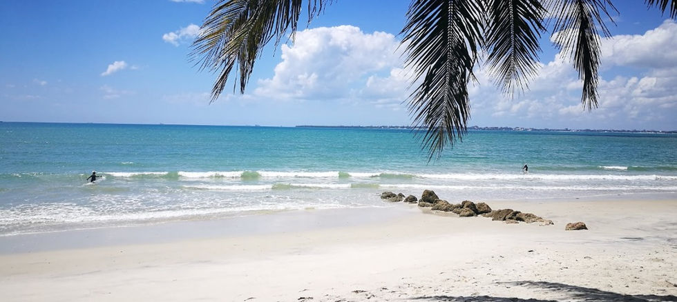 Land for Sale in Pemba Kigomasha 18,891 sqm - paradise beach
