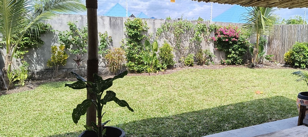 3 Villas in Paje for Sale - outside area