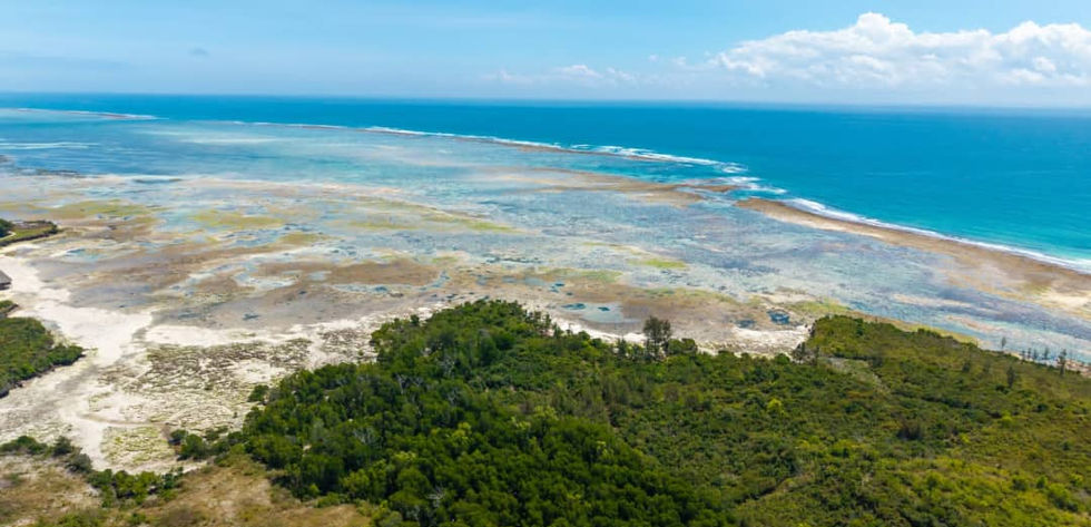 Land in Uroa for Sale beachfront_Zanzibar Luxury Properties