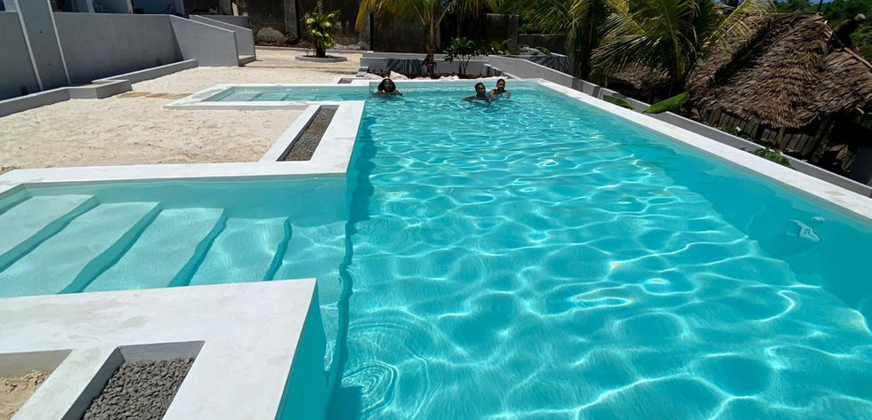 Boutique Project for sale in Kiwengwa_swimming pool (2)
