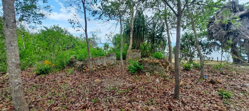 Land for Sale in Fukuchani 22,372 sqm- land
