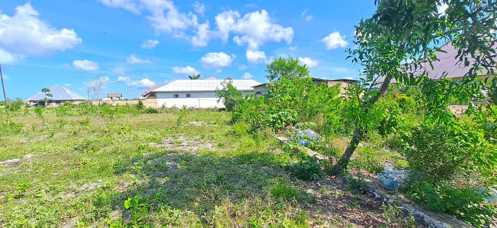 Land in Paje for Sale 2,700 sqm - Land for Sale