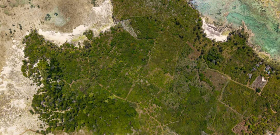 Land in Uroa for Sale_ view from top beachfront_Zanzibar Luxury Properties.jpeg