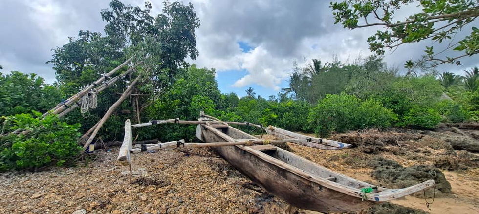 Land for Sale in Fukuchani 22,372 sqm- beach