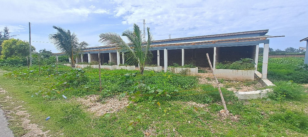 Land in Jambiani (main road) for sale - semi construction