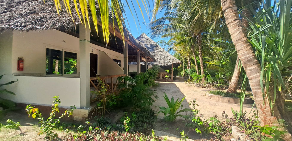 Hotel for Rent in Jambiani_20 rooms_bungalows