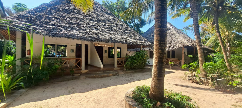 Hotel for Rent in Jambiani_20 rooms_bungalows (2)