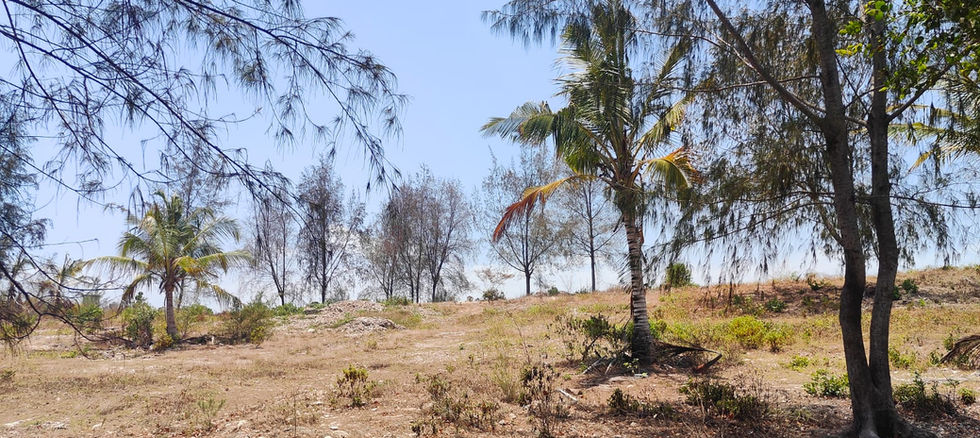 Land for Sale in Kiwengwa 20,200_land