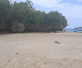 Zanzibar beach