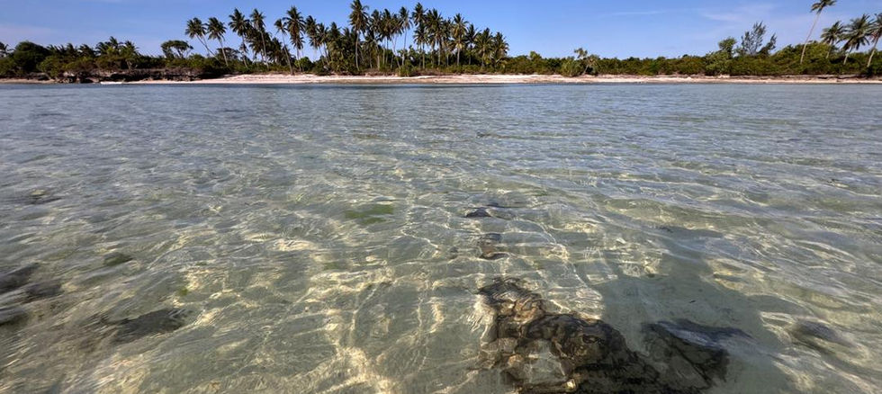 Land for sale in Kizimkazi - clear water