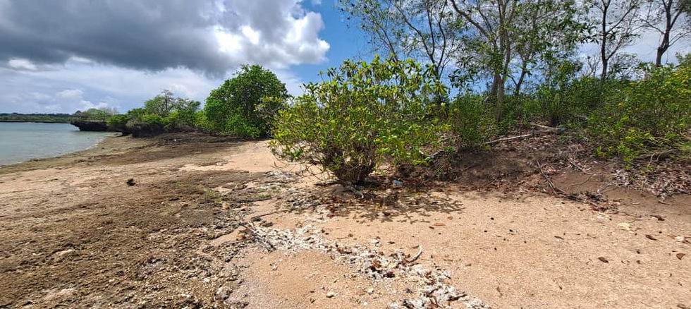 Land for Sale in Fukuchani 22,372 sqm- beachfront low tide