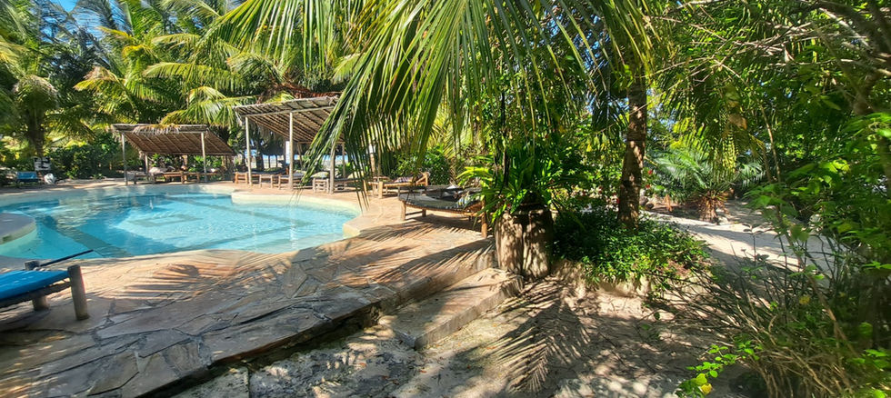 Hotel for Rent in Jambiani_20 rooms_swimming pool