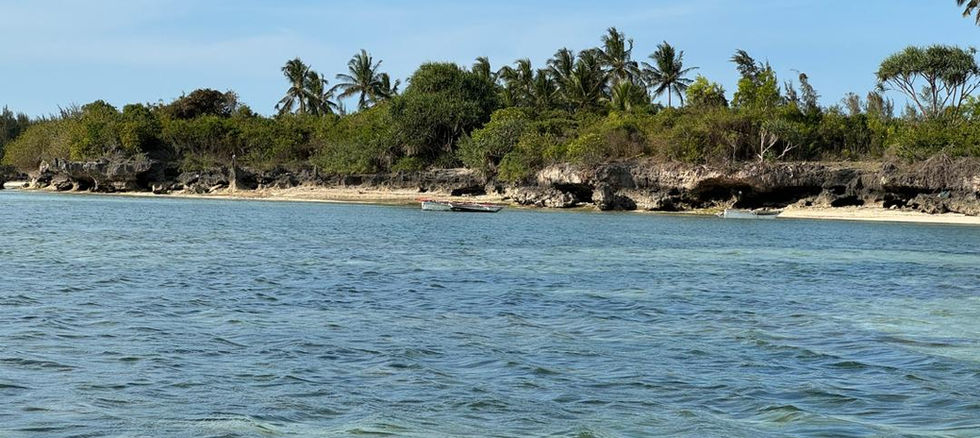 Land for sale in Kizimkazi - view from ocean