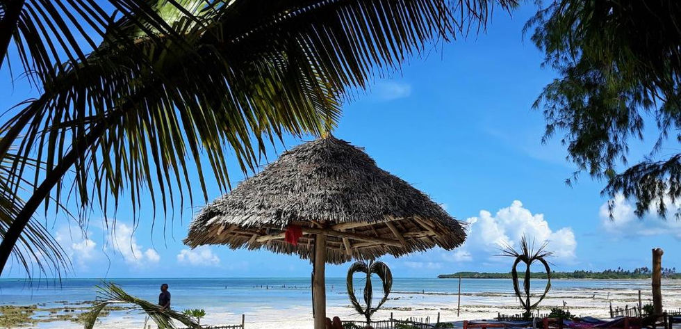 Hotel for sale 15 rooms  Pongwe - white sand beach view
