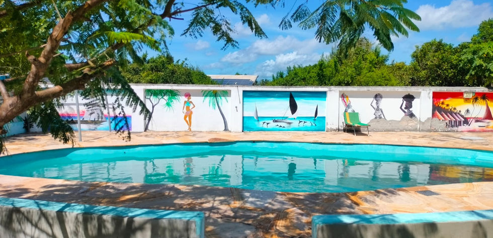 Coumpound in Uroa for Sale- swimming pool (2)