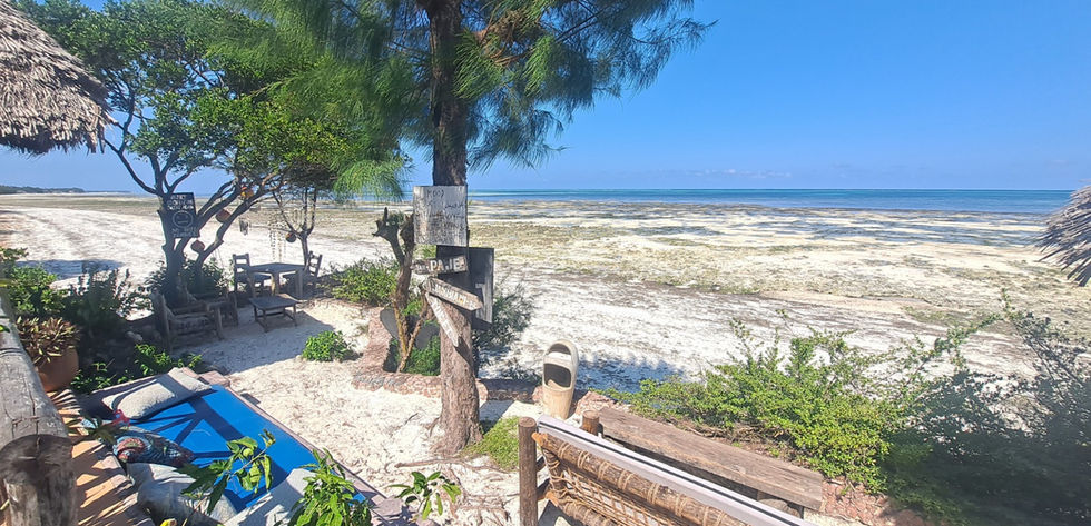 Hotel for Rent in Jambiani_20 rooms_beach