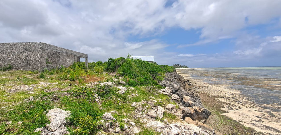 Land for Sale in Zanzibar_Makunduchi_8000 sqm_beachfront