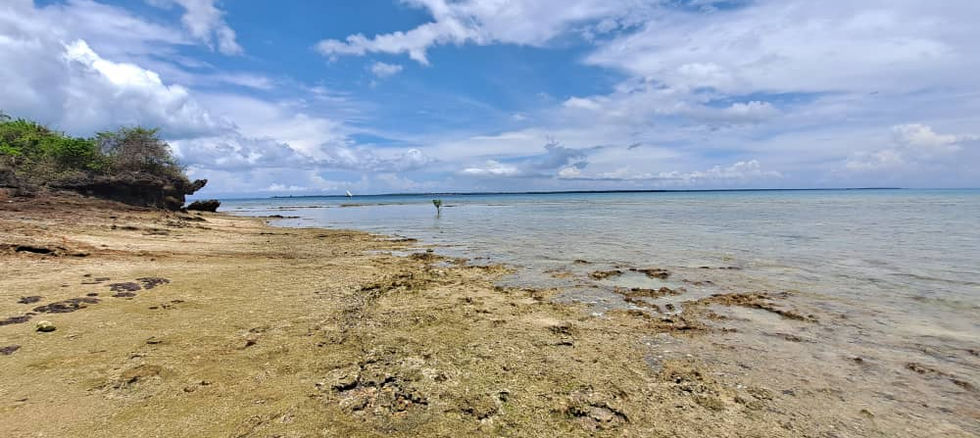 Land for Sale in Fukuchani 22,372 sqm- beach