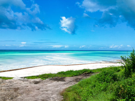 Zanzibar north east coast