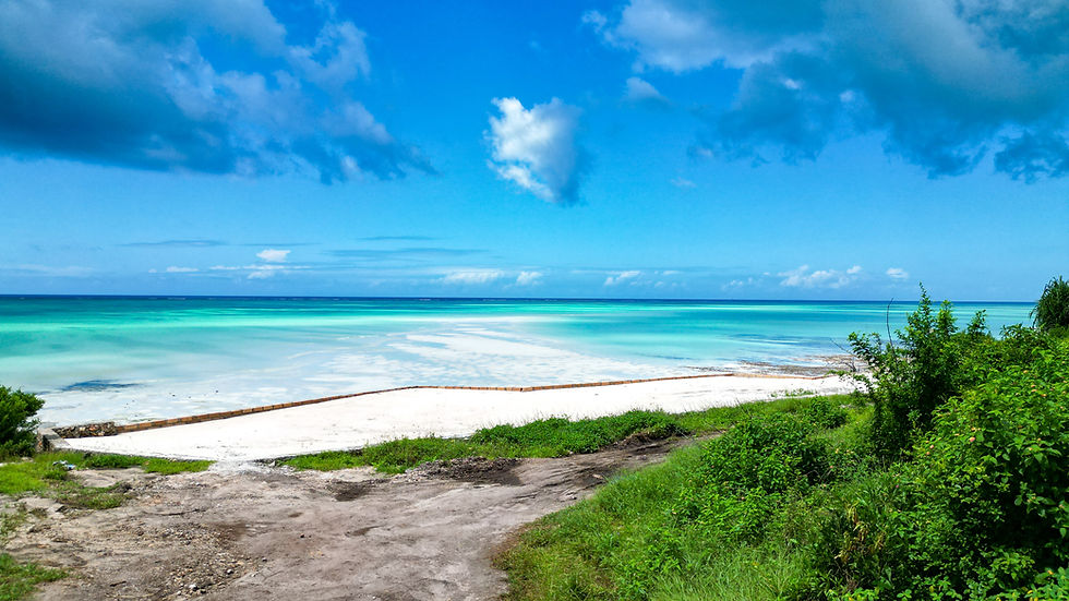 Zanzibar north east coast