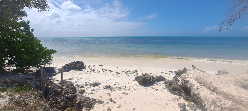 Michamvi 20 bedrooms - outside beach and sea