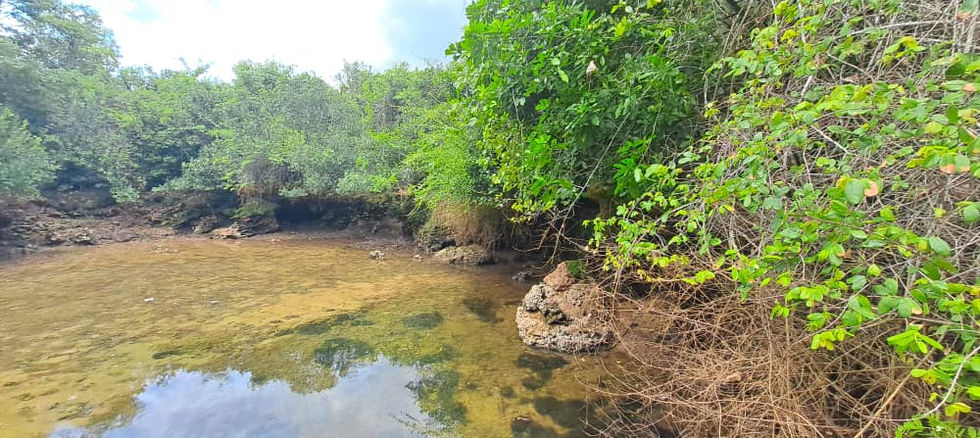 Land for Sale in Fukuchani 22,372 sqm- natural aquarium