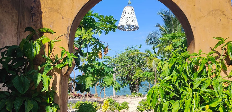 Land and Hotel for Sale in Chwaka - decoration
