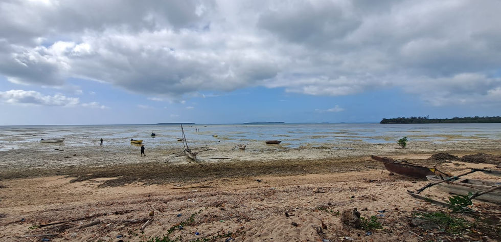 Land for sale in Zanzibar_Unguja Ukuu_sea