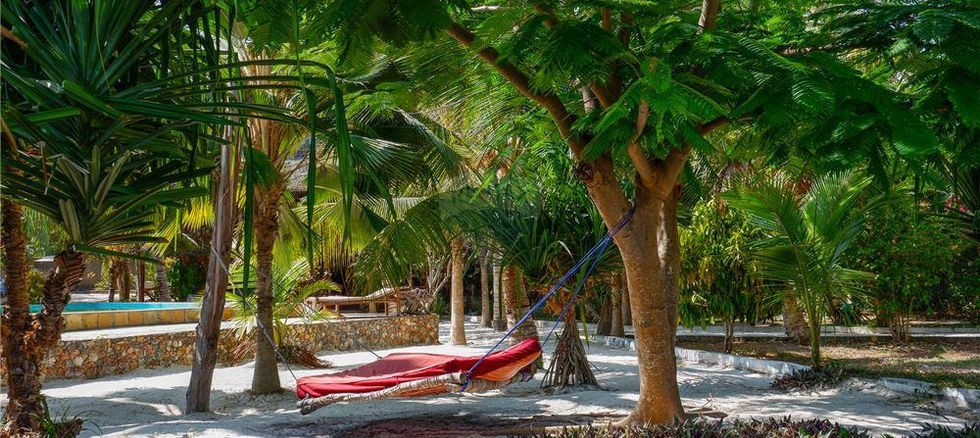 Plot 1- Outdoor area