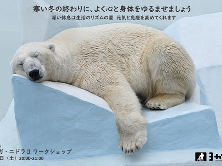 2月26日（土）20:00 須田 育の ヨーガ・ニドラⅡワークショップ