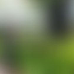 「友永淳子のお話の会」5月1日(土)16:30