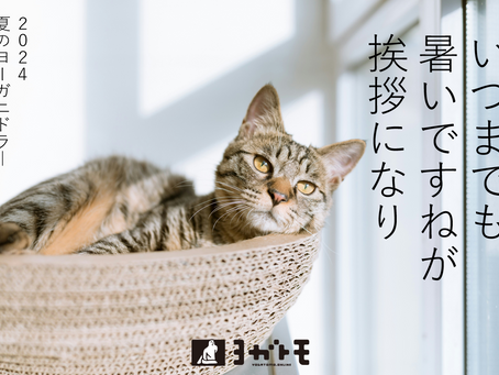 9/28（土）いつまでも暑いこの夏 ヨーガ・ニドラ―を体験しよう