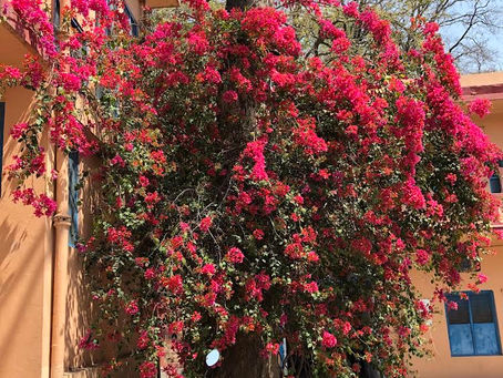 2022年4月のワークショップ