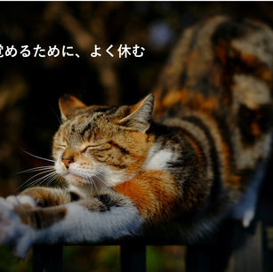 2月25日(土)須田 育の土曜の夜のヨーガ・ニドラ