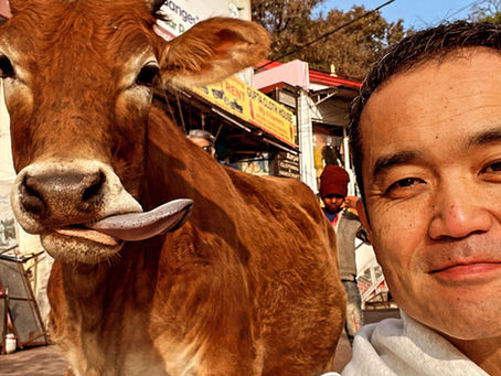 1/12（金）6:00 新月の朝の瞑想会