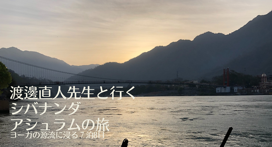 渡辺直人先生と行く シバナンダアシュラムへの旅 (3).png