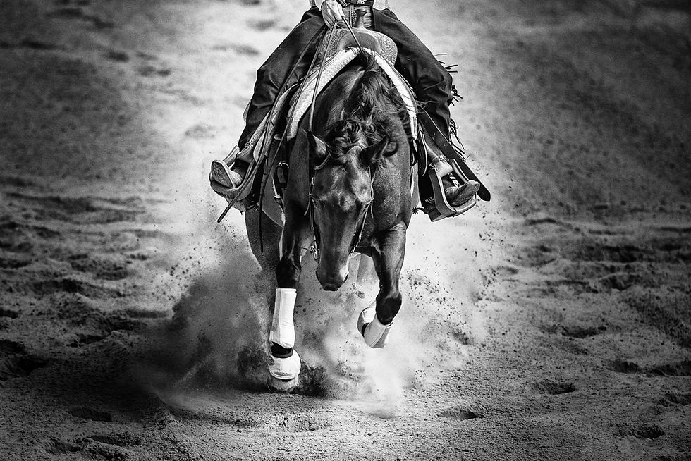 noctilux.20190210.075