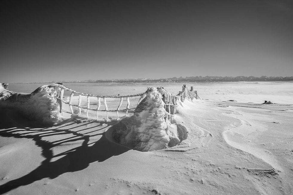 noctilux.20190210.030