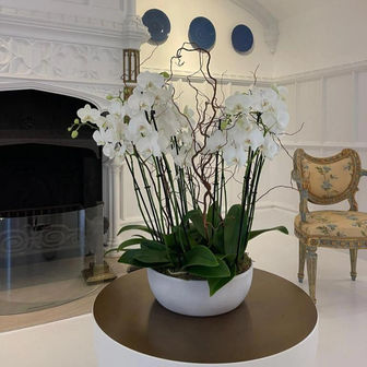 Olivia James Woburn, Orchid designs