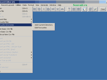 RecordEditor Portable 0.95 Crack  PC/Windows [Updated]