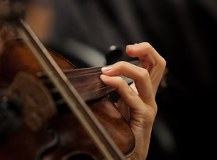 Violinist