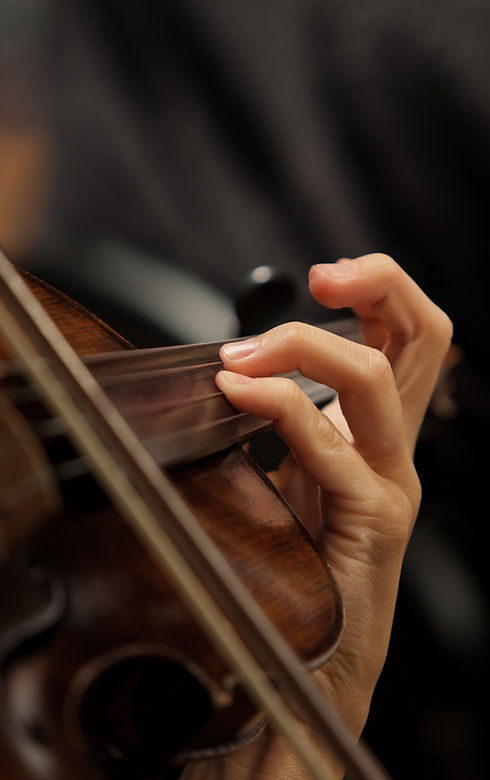 Violinista