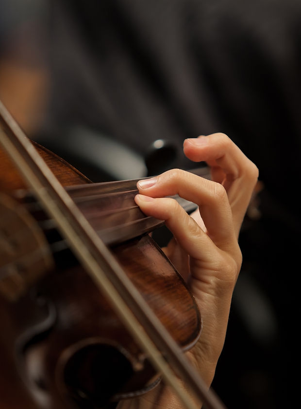 Violinist