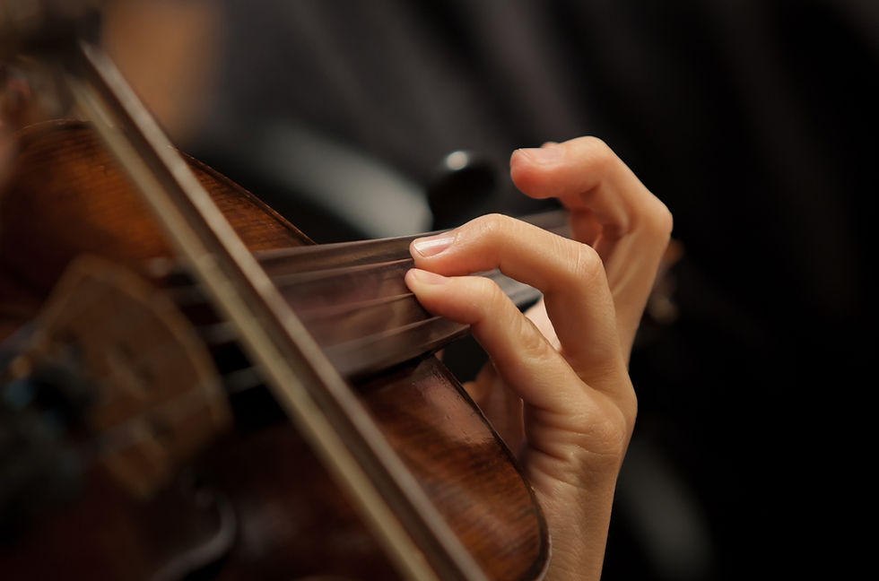 Violinist