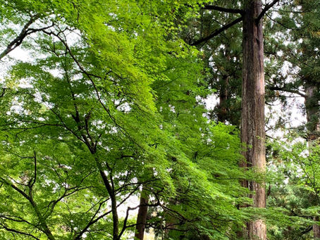大日月地神示【前巻】「り」の巻
