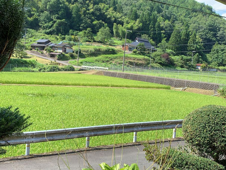 大日月地神示【前巻】「ね」の巻