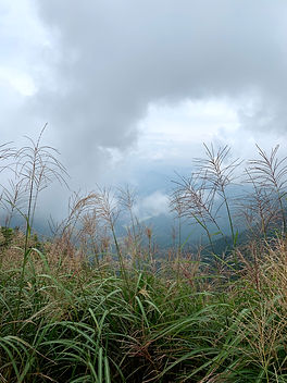 IMG_3296.jpeg